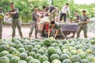 滁州：送清凉 进军营