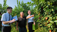 郵儲(chǔ)銀行小額貸款累計(jì)投放突破10萬(wàn)億元