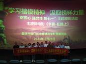 安慶經開區和平村：觀看《李夏·在路上》  傳承榜樣力量