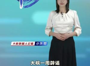 大皖一周辟谣 2024年第二十二期