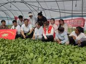 淮北相山區(qū)渠溝鎮(zhèn)：開展蔬菜實用技術培訓