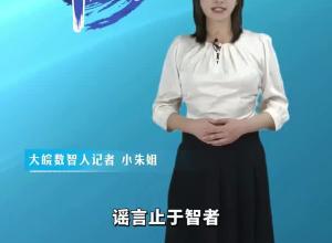 大皖一周辟谣 2024年第二十四期