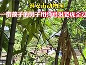 男子用彈弓射老虎？江蘇淮安市動物園：確有此事，已報警