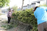 濉溪縣四鋪鎮：道路沿線環境整治再掀新高潮