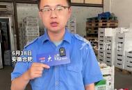 多地葡萄“爭艷”合肥市場    價格較去年同期有所降低  
