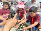 张晓冉：粽子课