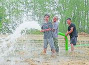 淮南：積極抗旱造墑播種補墑保苗