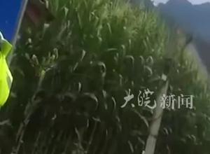 用了20多年的锤子竟然是枚手榴弹！村民：我平时用来砸核桃、钉钉子
