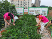 芜湖市鸠江区曹姑社区养老服务站：温情满载，“蔬”送关爱  