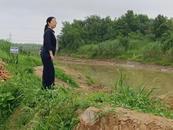 懷寧縣金拱鎮：加強“河長制”巡河  扎實做好防汛工作