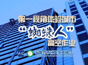 “蜘蛛人”——城市的美容师