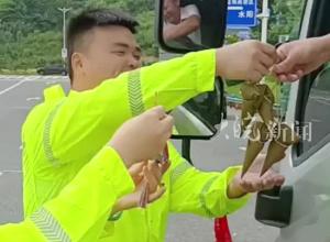 端午假期 安徽高速赠您“暖心粽”