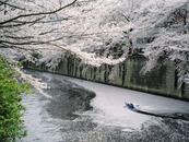 日本多地水體檢出有害物