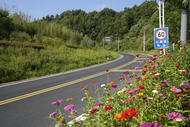 優化公路路域環境，提升出行品質