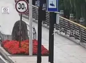 桥上推车的姑娘找到了！
林宣妤，你真美！
