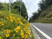 “擂臺比武”助推公路養護