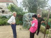 宜秀區白澤湖鄉龍華村：巾幗展風采，助力信用村建設