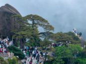上市公司“黃山旅游”換屆，選出董事長、總裁及副總裁等