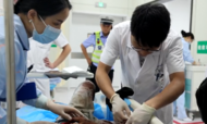 小葉醫(yī)探 | “生死時(shí)速”！ 合肥警醫(yī)合力挽救重癥車禍傷男童  