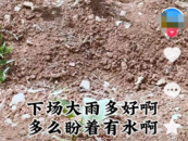 山東沂蒙山區(qū)持續(xù)干旱，果農(nóng)求助！當(dāng)?shù)鼗貞?yīng)：正研究抗旱措施