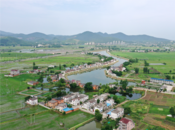 巢湖：夏日田園 景色如畫