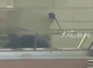 重庆一商场餐饮店后厨老鼠乱窜？商场称已“地毯式”消杀，区市监局：依法依规处置中 