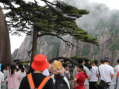 注意！黃山旅游客運(yùn)中心時(shí)刻表有調(diào)整