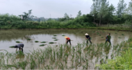 洪集鎮(zhèn)大橋村：鄰里守望相助溫暖病患心