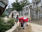 懷寧江鎮新合村：干群攜手共建美麗家園