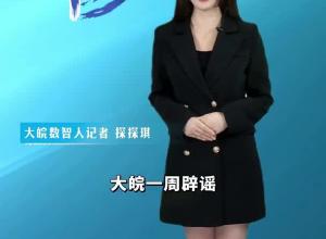大皖一周辟谣 2024年第二十七期