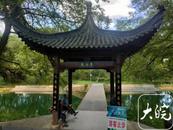 萬千氣象看江西丨婺源有個村，“寵鳥”到極致