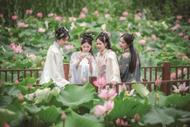 来安：荷花绽放迎客来