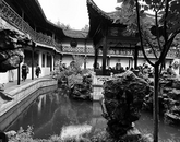 李梅：监控镜头里的母亲