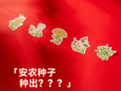 “長”種子，鑲芯片，高校錄取通知書很“卷”