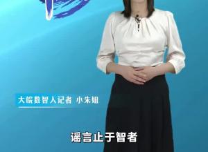 大皖一周辟谣 2024年第二十六期