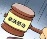 打擊資本市場財務造假新政策來了