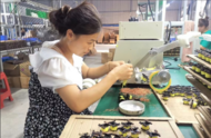 河溜鎮：產業幫扶夯實保脫穩脫基礎