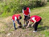 懷寧縣石鏡鄉：清理河湖垃圾 守護綠水長流  