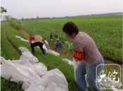 小溪鎮(zhèn)：先鋒力量向“險”而行 確保淮河堤壩安全度汛
