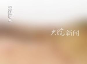 丹霞山发现新物种丹霞米虾 虾身仅1.4 厘米长  专家：建议列入濒危物种红色目录