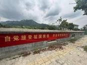 宜秀區楊橋鎮余墩村：吹響征兵“集結號” 燃亮青年“戎裝夢”