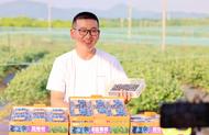 萬企興萬村丨海外留學歸來 他當起藍莓園里