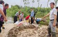 壽縣隱賢鎮切實筑牢防汛“安全堤”