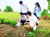 蚌埠市五河縣：青春執畫筆 設計促興農
