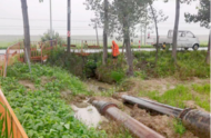 高效應對防汛應急，守護公路安全暢通