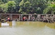 懷寧縣馬廟鎮：汛后河道清理整治，共建共護美麗家園