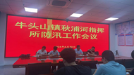 貴池區牛頭山鎮：以“汛”為令 筑起防汛“銅墻鐵壁”