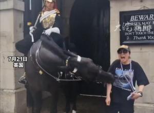 现场画面!英国国王卫队马匹
咬伤并扯拽游客 致游客晕倒在地