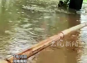 男子在2米多深水中抱树求生，把手机咬在嘴里 和消防共享位置
