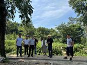 宜秀區大龍山鎮：人大代表善擔當 鄉村振興穩前行